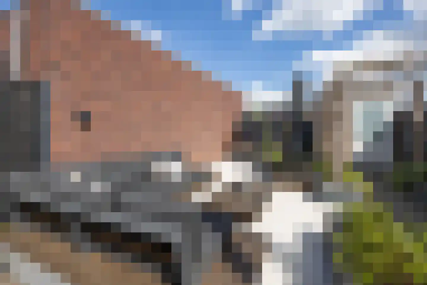 Leurse Branden 23 Etten-Leur thumbnail 44