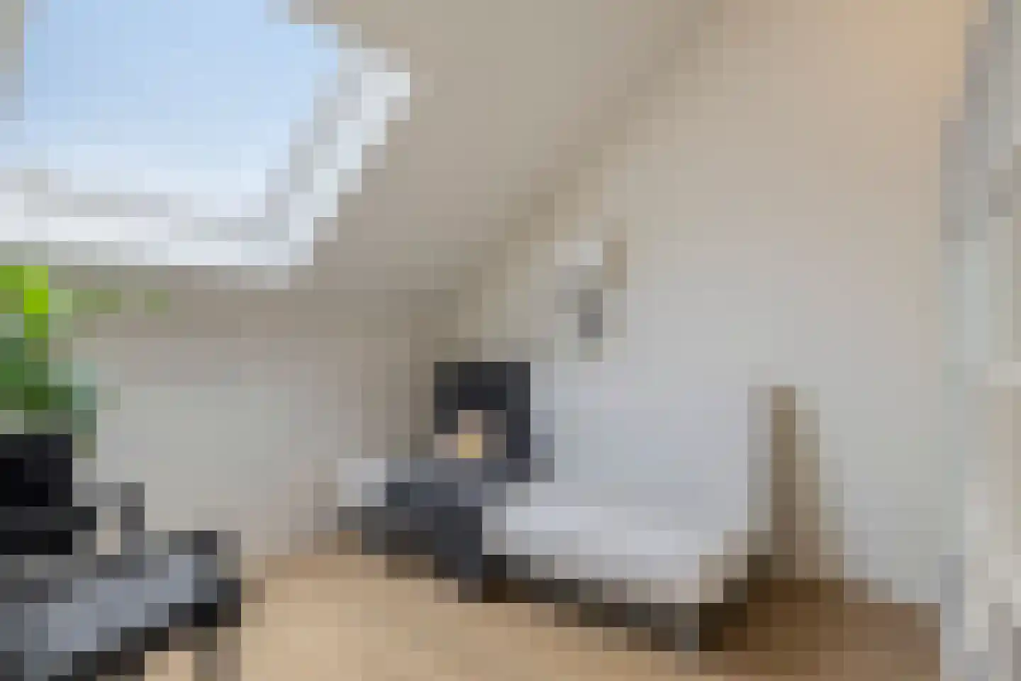 Leurse Branden 29 Etten-Leur thumbnail 39