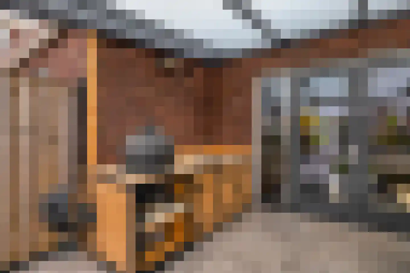 Leurse Branden 29 Etten-Leur thumbnail 46