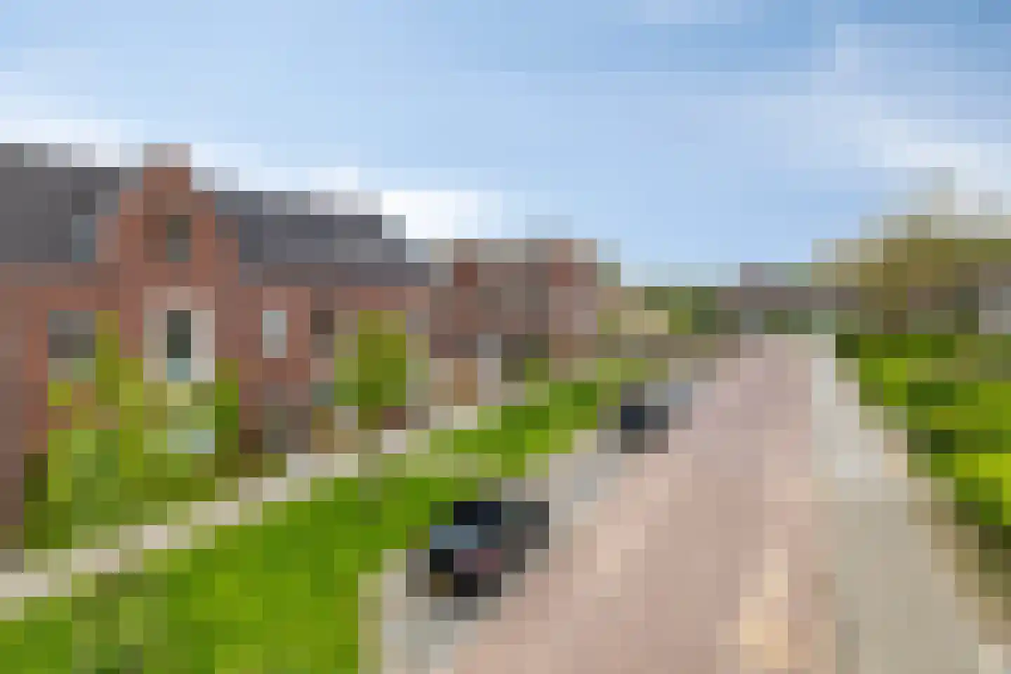 Leurse Branden 29 Etten-Leur thumbnail 9