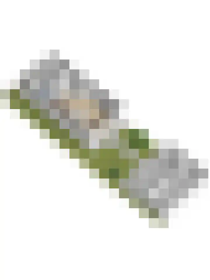 Leurse Branden 31 Etten-Leur thumbnail 39