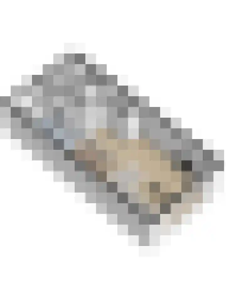 Leurse Branden 31 Etten-Leur thumbnail 41