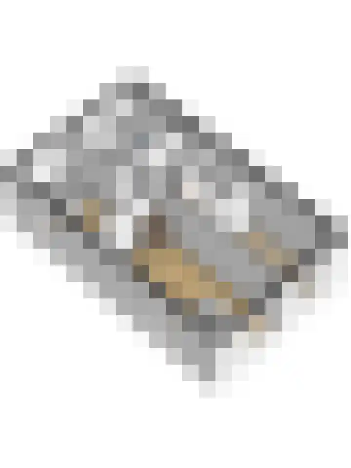 Leurse Branden 31 Etten-Leur thumbnail 43