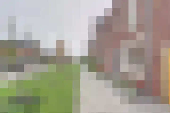 Leurse Branden 31 Etten-Leur thumbnail 5