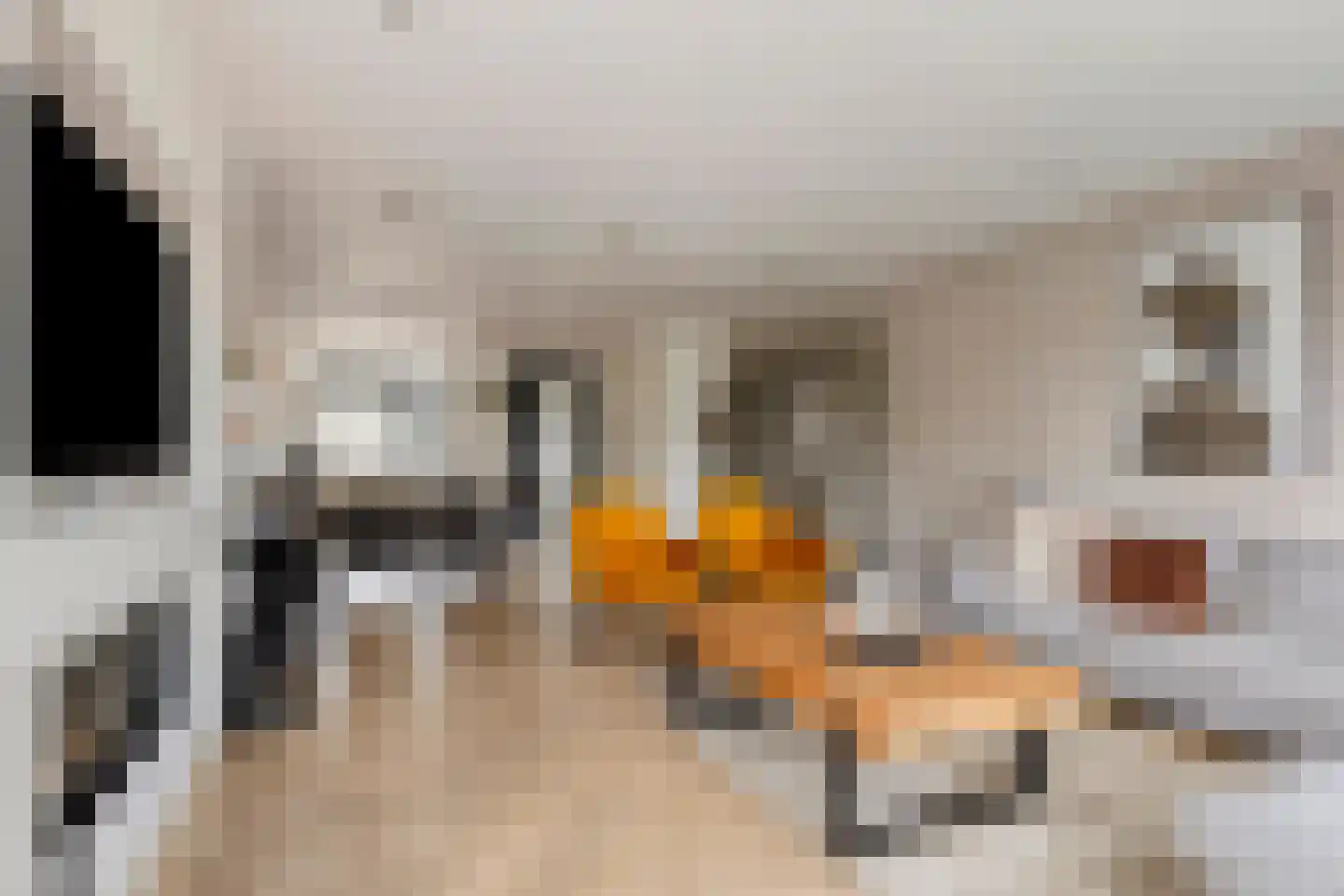 Leurse Branden 69 Etten-Leur thumbnail 11