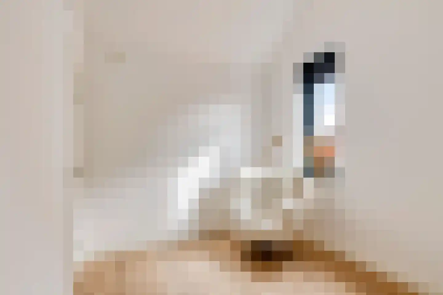 Leurse Branden 69 Etten-Leur thumbnail 32