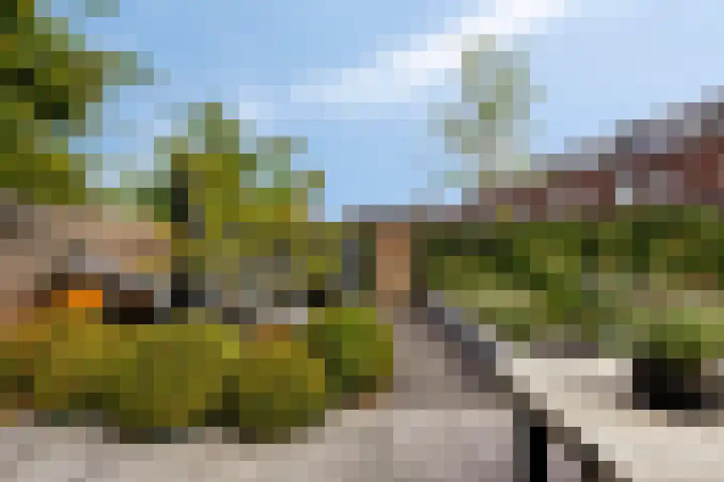 Leurse Branden 69 Etten-Leur thumbnail 33