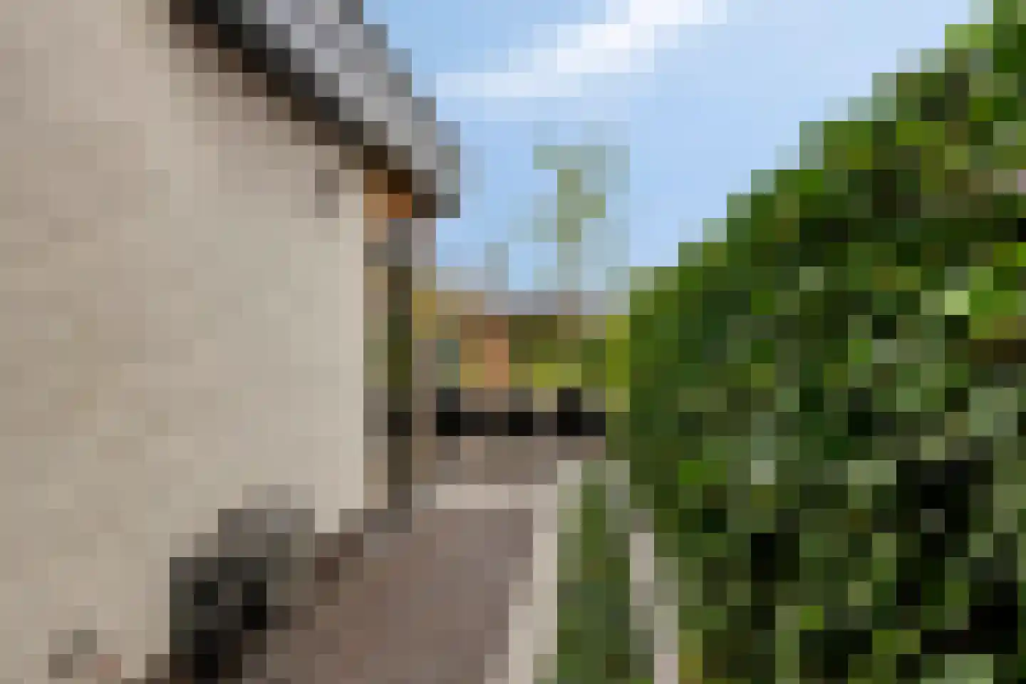 Leurse Branden 69 Etten-Leur thumbnail 38