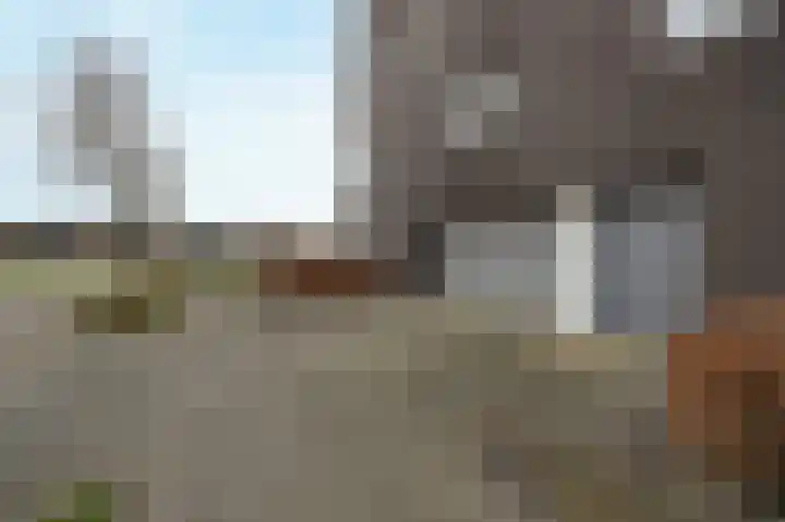 Leurse Dijk 218 Etten-Leur thumbnail 38