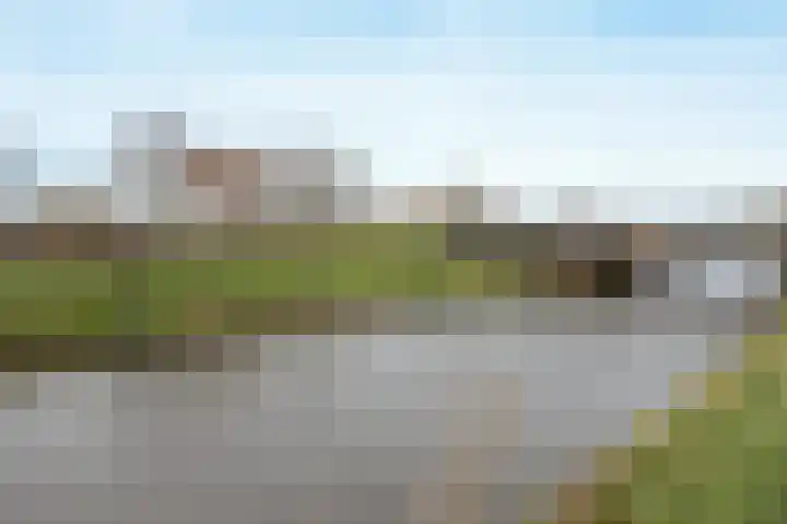 Leurse Dijk 218 Etten-Leur thumbnail 42