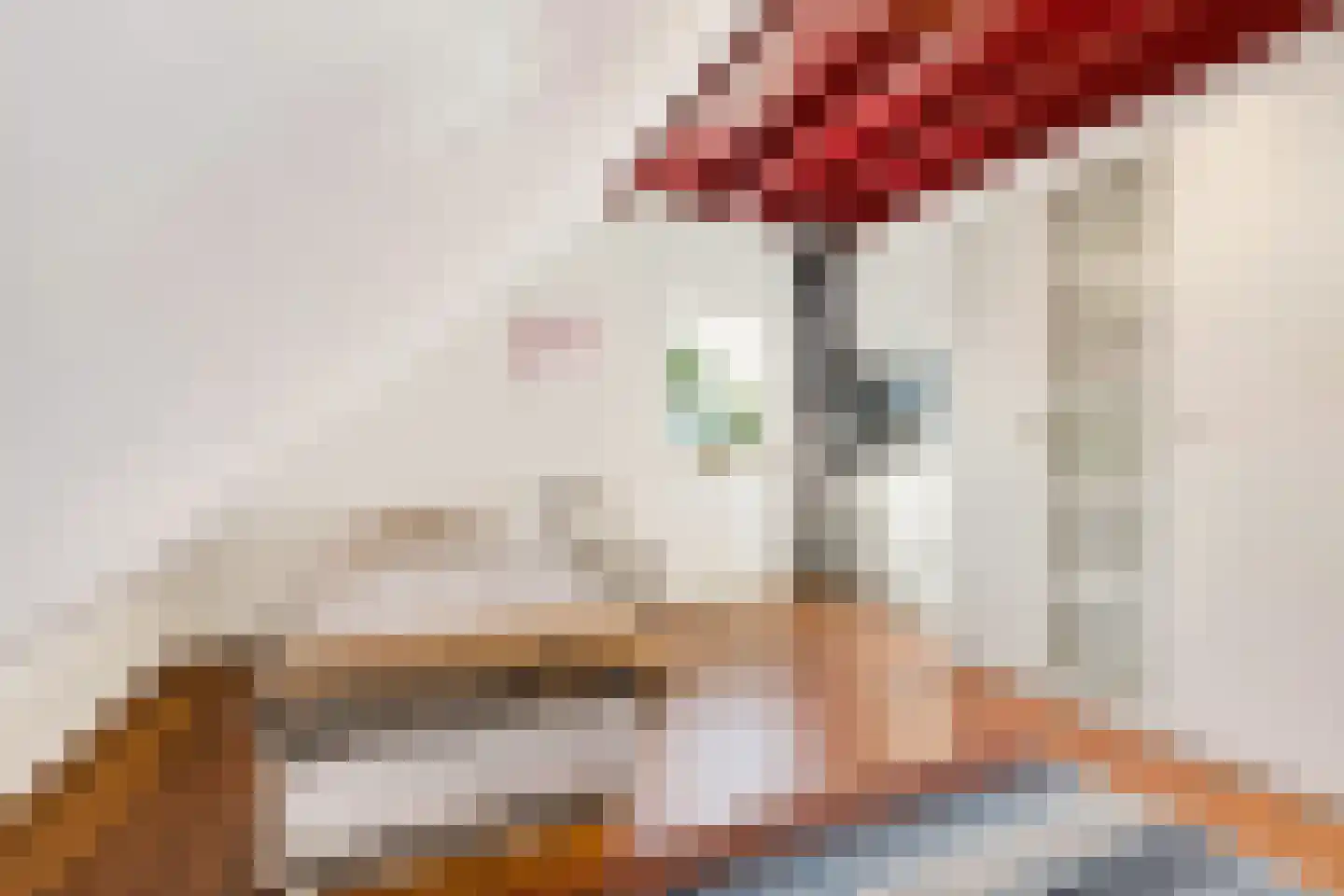 Leursebaan 265 Breda thumbnail 29