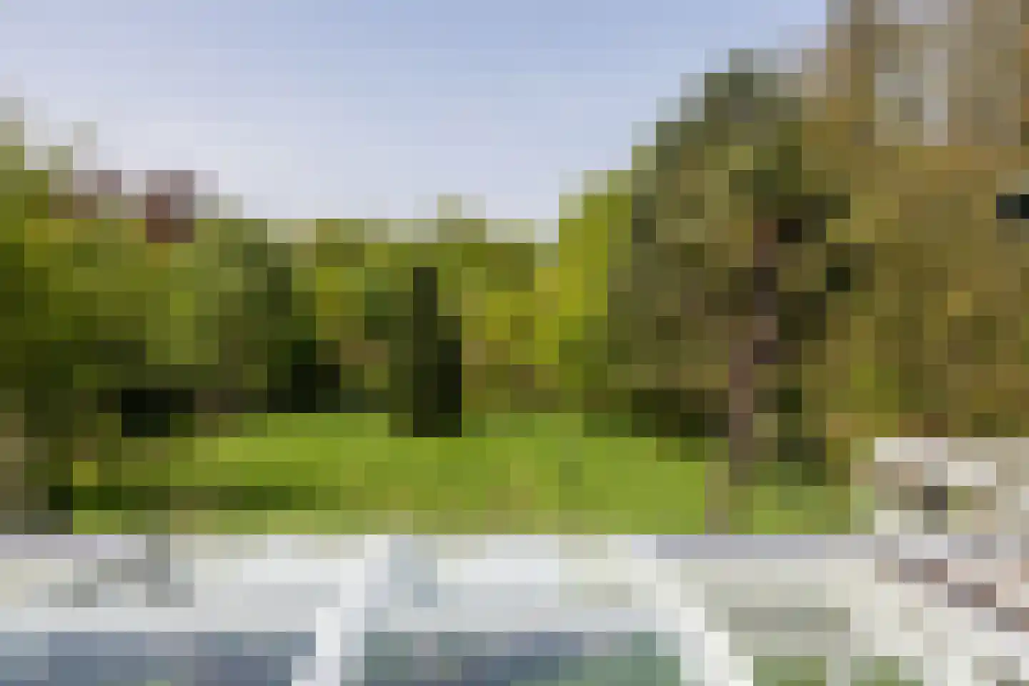 Leursebaan 387 Breda thumbnail 22