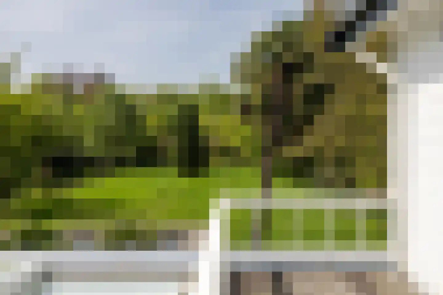Leursebaan 387 Breda thumbnail 29