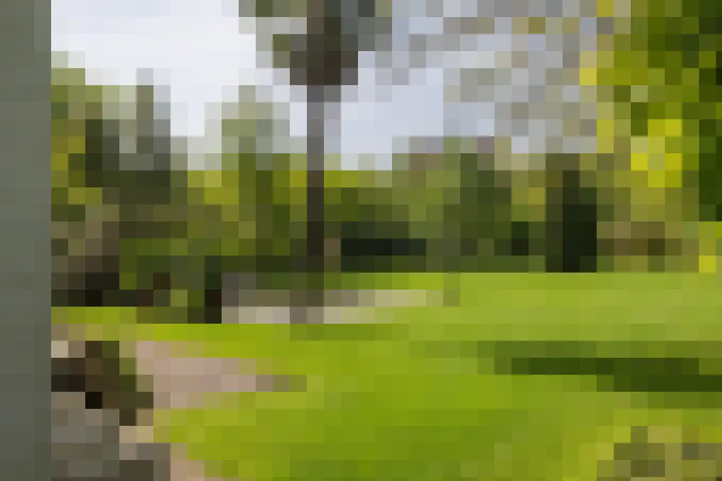 Leursebaan 387 Breda thumbnail 36