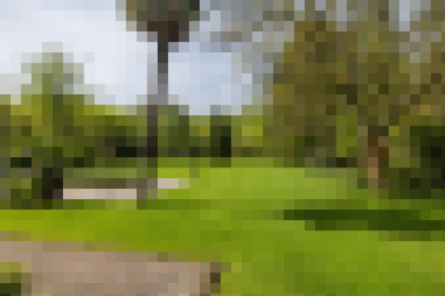 Leursebaan 387 Breda thumbnail 37