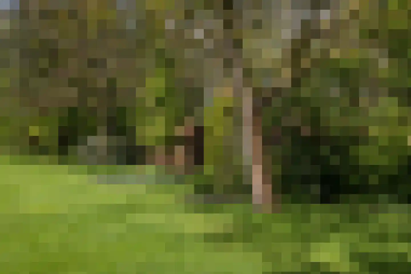 Leursebaan 387 Breda thumbnail 38