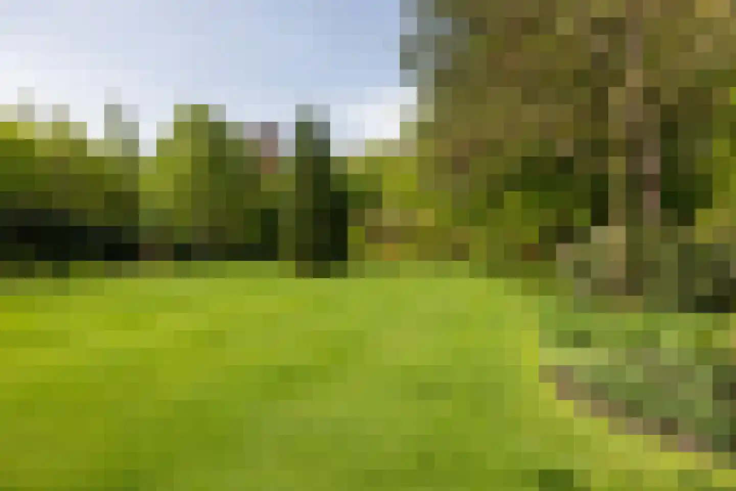 Leursebaan 387 Breda thumbnail 39