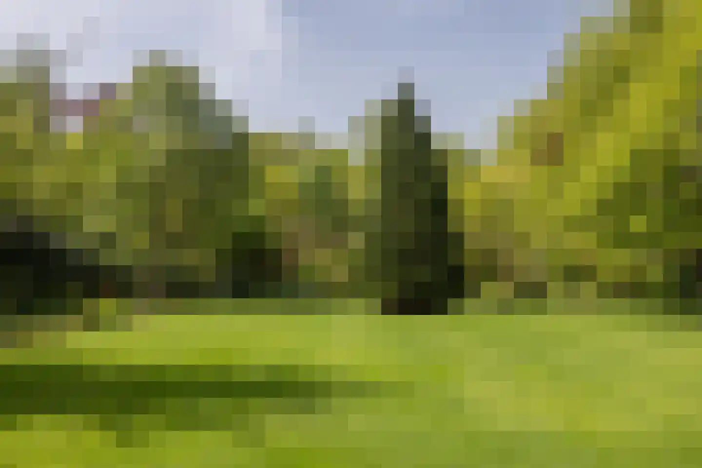 Leursebaan 387 Breda thumbnail 40