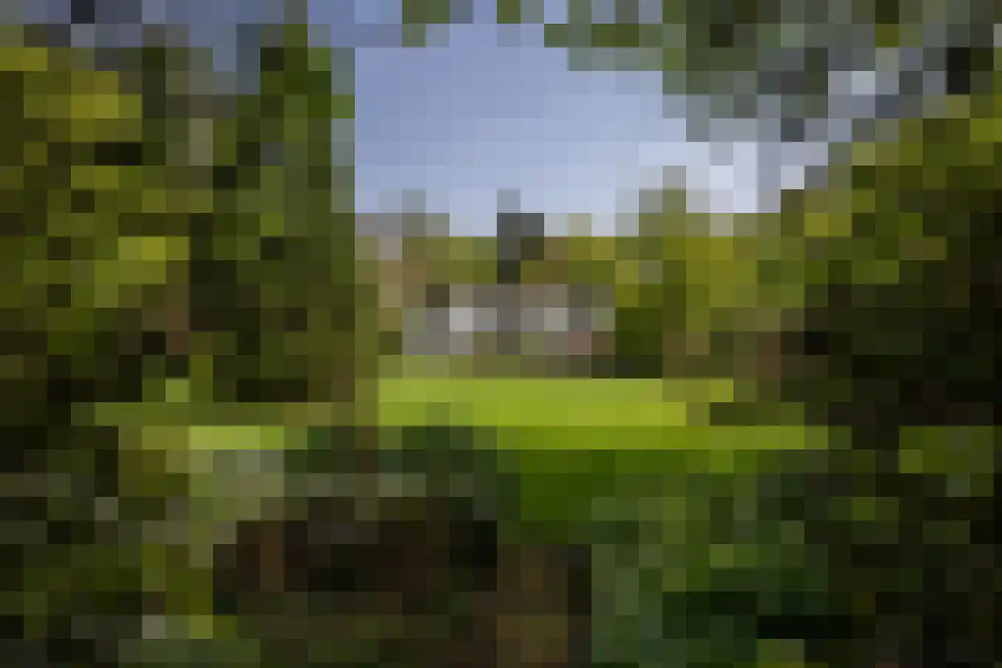 Leursebaan 387 Breda thumbnail 42