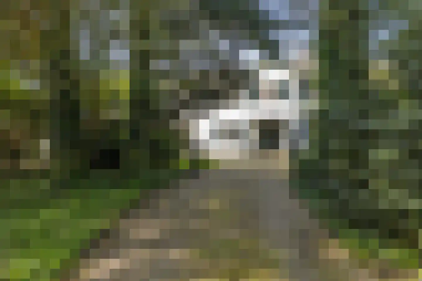 Leursebaan 387 Breda thumbnail 47