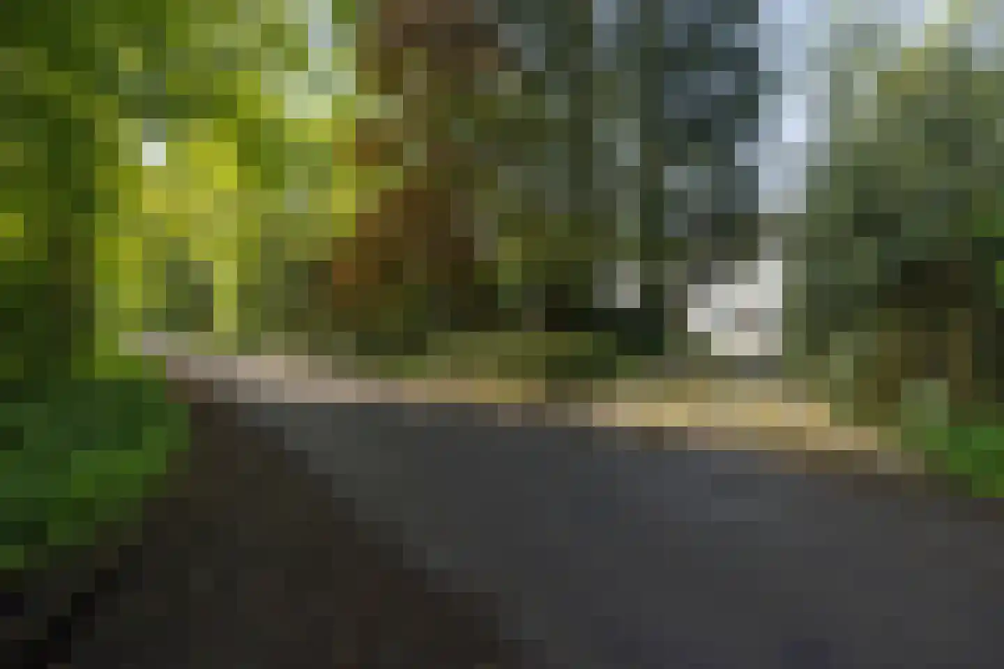 Leursebaan 387 Breda thumbnail 48