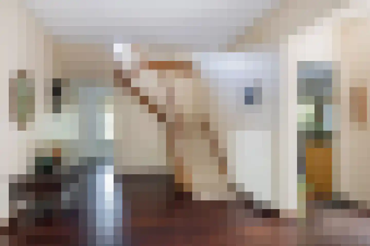 Leursebaan 387 Breda thumbnail 6