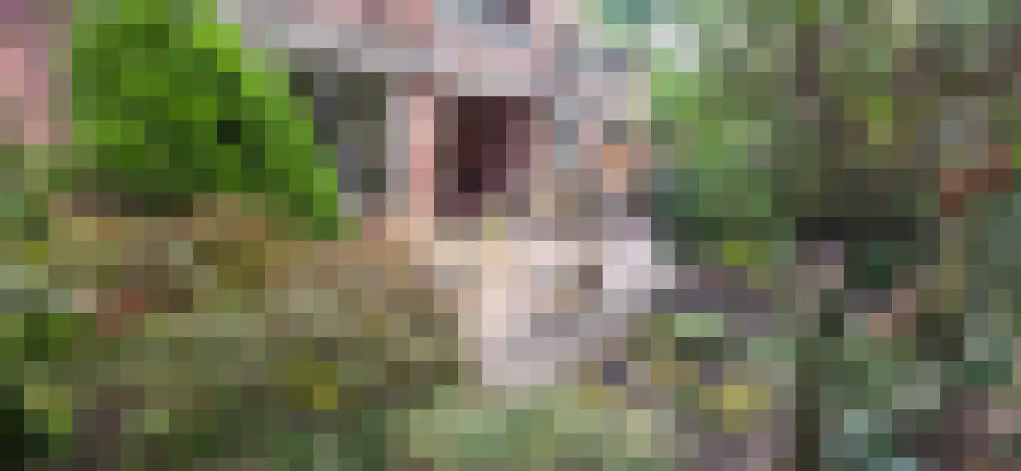 Leusdenhof 167 Amsterdam thumbnail 20