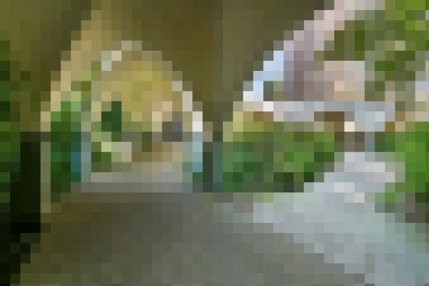 Leusdenhof 167 Amsterdam thumbnail 23