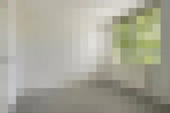 Leusdenhof 240 Amsterdam thumbnail 13