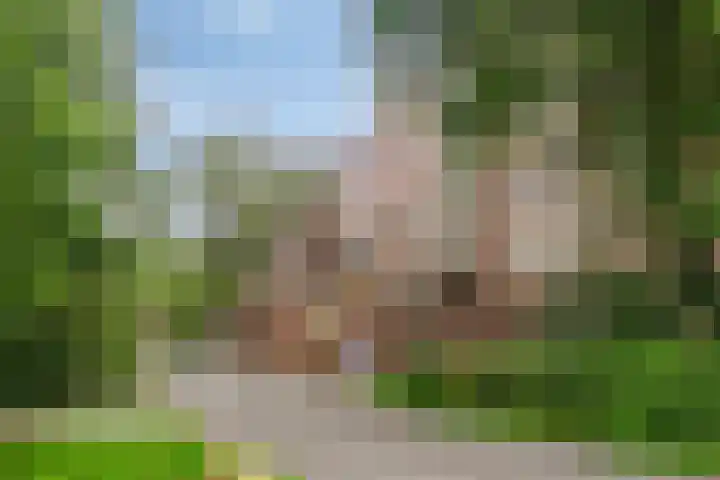 Leusdenhof 240 Amsterdam thumbnail 22