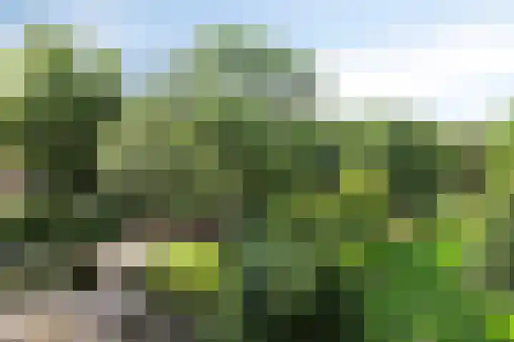 Leusdenhof 240 Amsterdam thumbnail 23