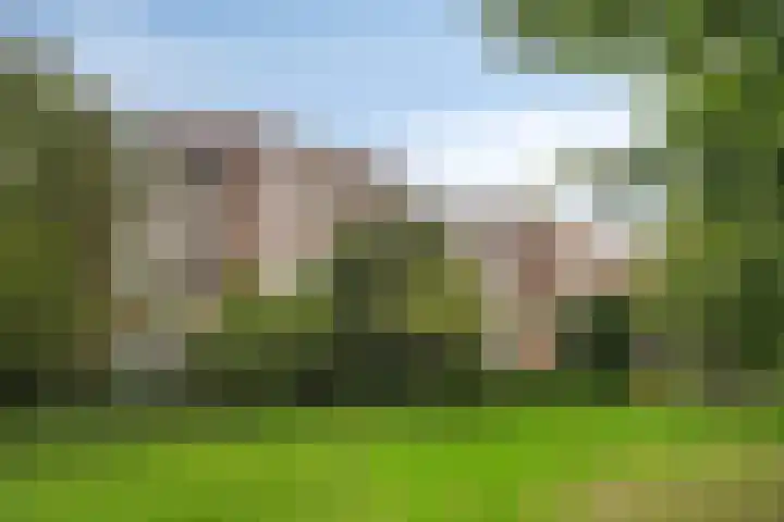 Leusdenhof 240 Amsterdam thumbnail 28