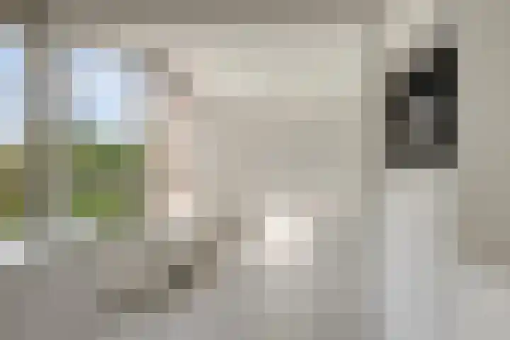 Leusdenhof 240 Amsterdam thumbnail 8
