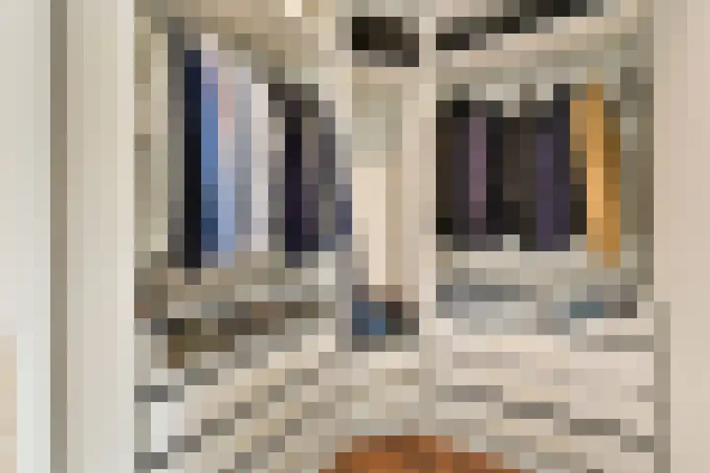 Leusdenhof 255 Amsterdam thumbnail 13