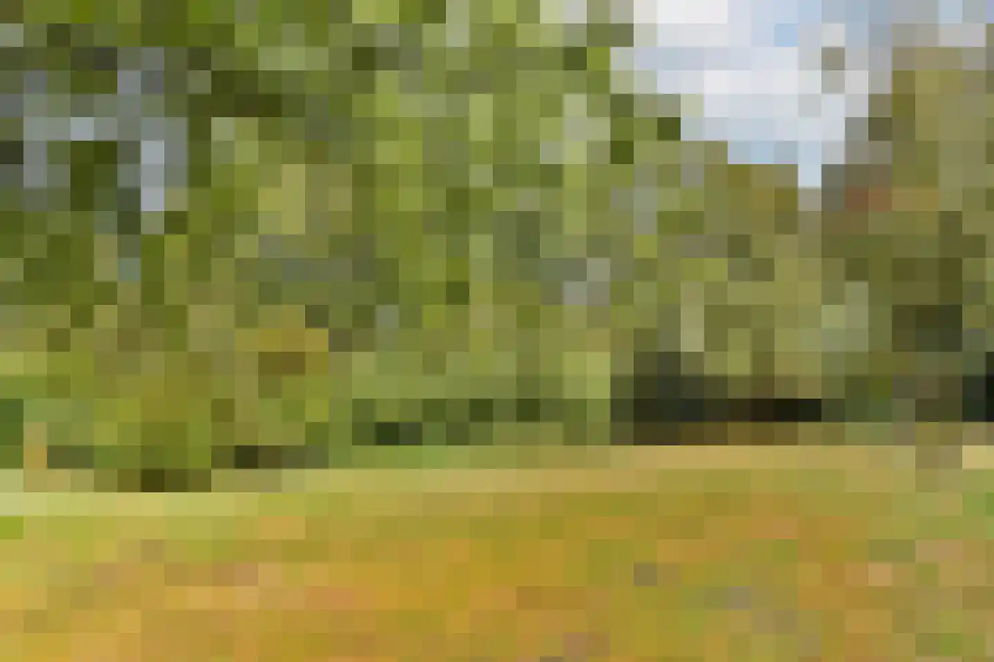 Leusdenhof 255 Amsterdam thumbnail 19