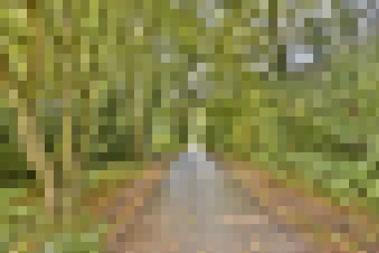 Leusdenhof 255 Amsterdam thumbnail 22