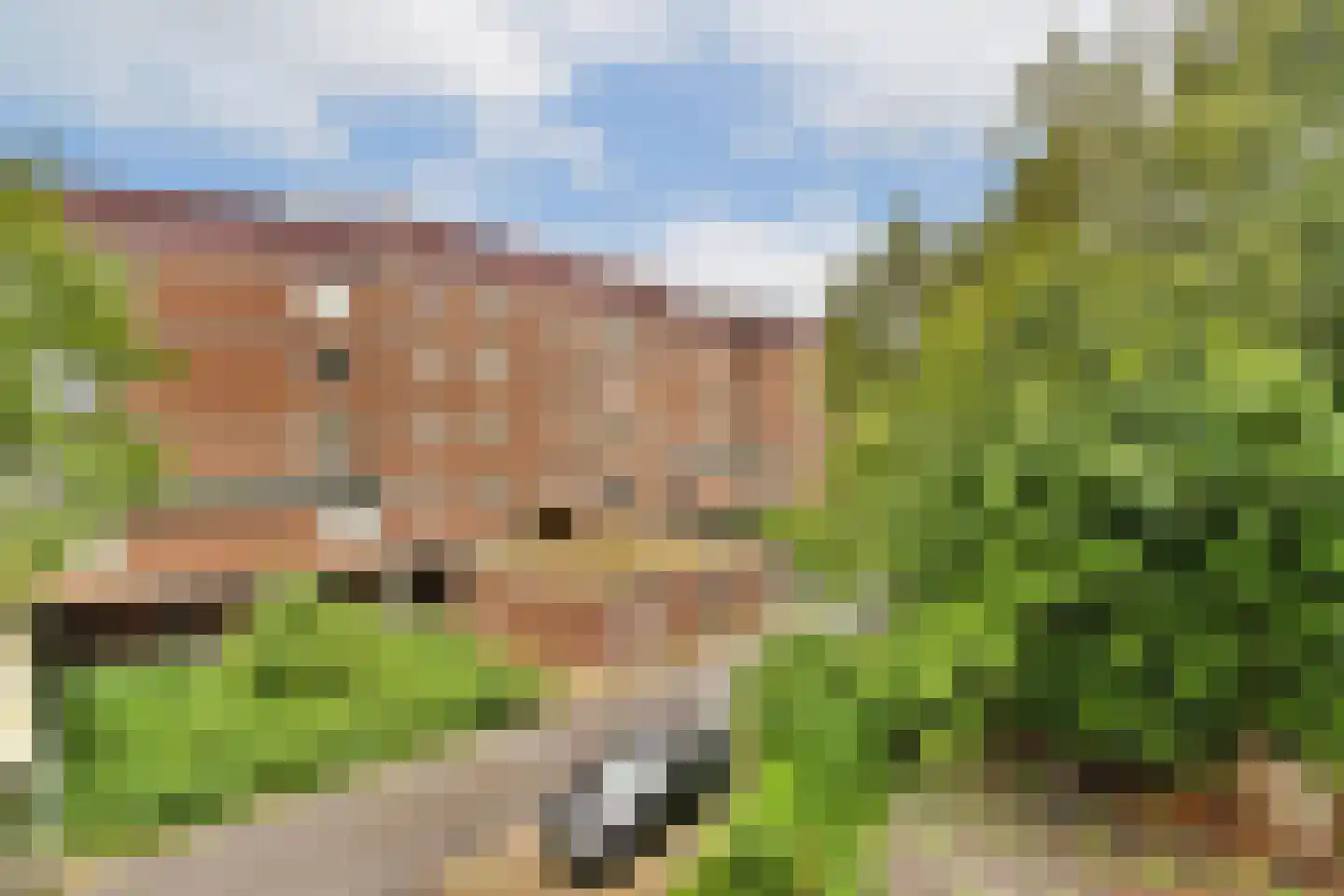 Leusdenhof 255 Amsterdam thumbnail 23
