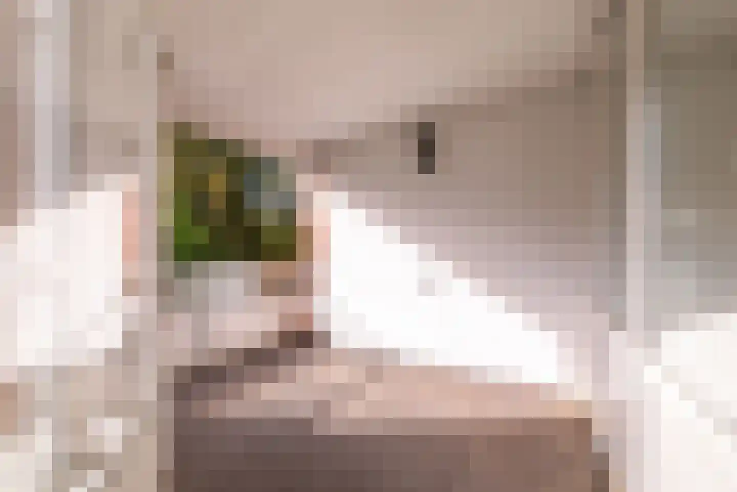 Leusdenhof 255 Amsterdam thumbnail 27