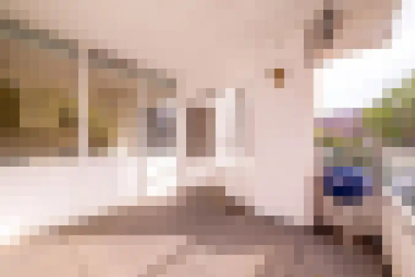 Leusdenhof 255 Amsterdam thumbnail 28