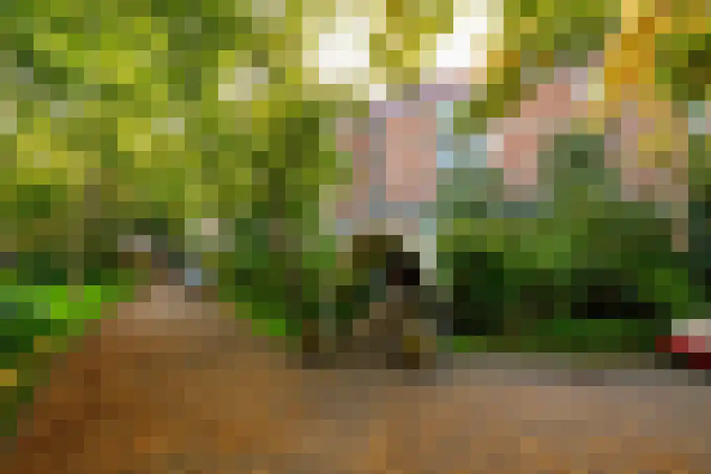 Leusdenhof 255 Amsterdam thumbnail 41
