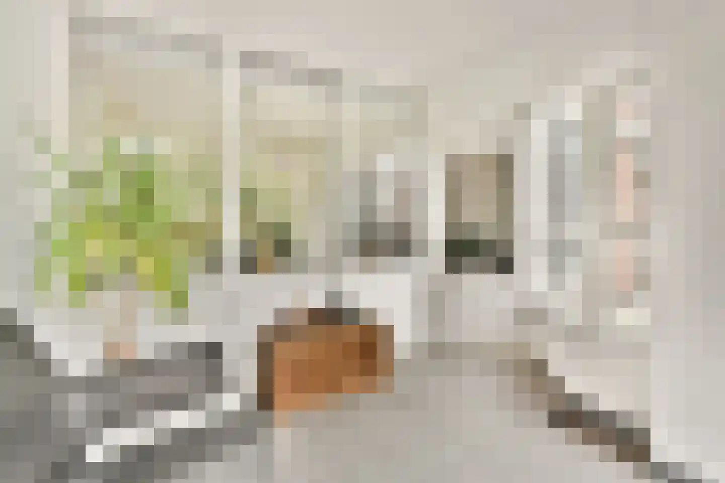 Leusdenhof 255 Amsterdam thumbnail 8