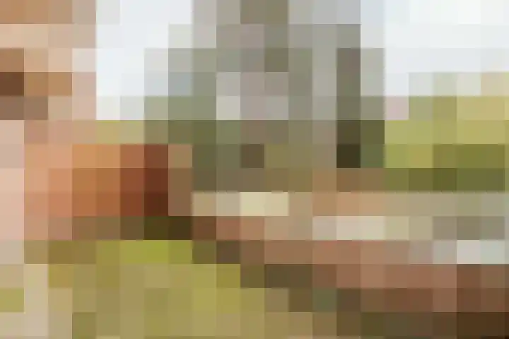 Leusdenhof 268 Amsterdam thumbnail 12