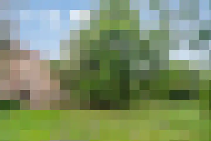 Leusdenhof 269 Amsterdam thumbnail 28
