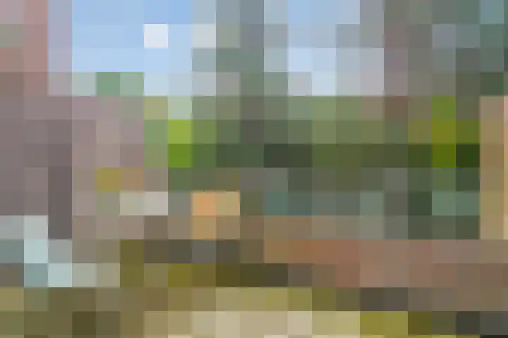 Leusdenhof 269 Amsterdam thumbnail 6
