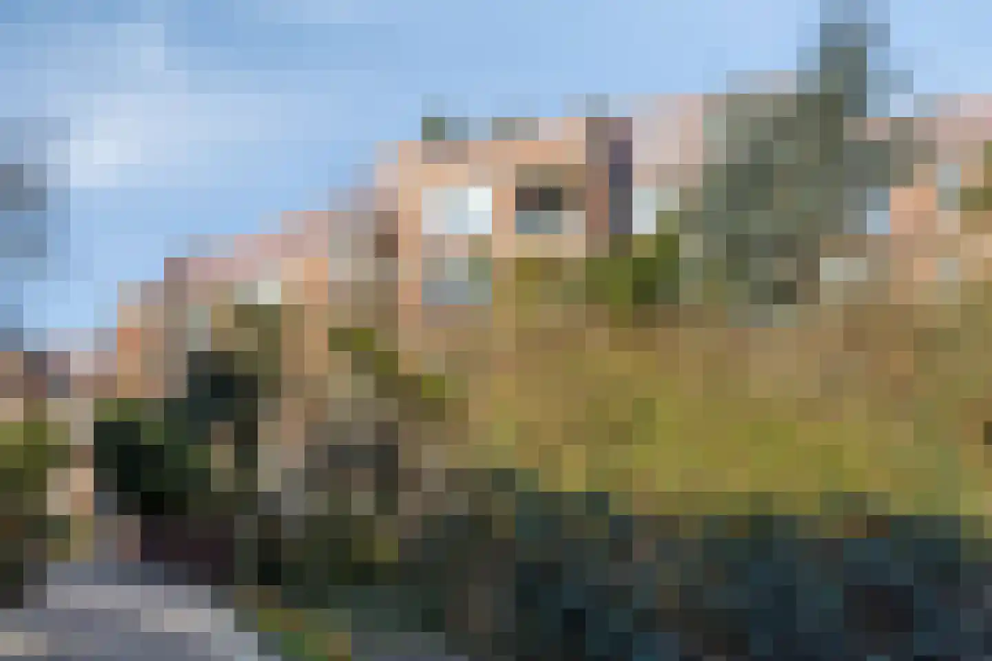 Leusdenhof 274 Amsterdam thumbnail 20