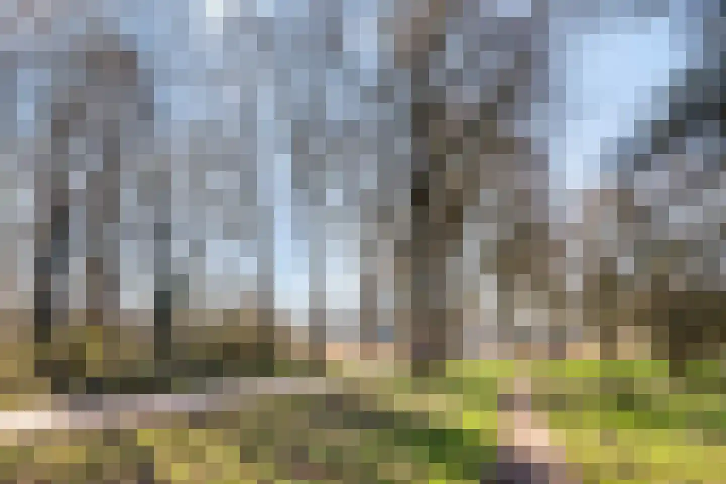 Leusdenhof 274 Amsterdam thumbnail 23