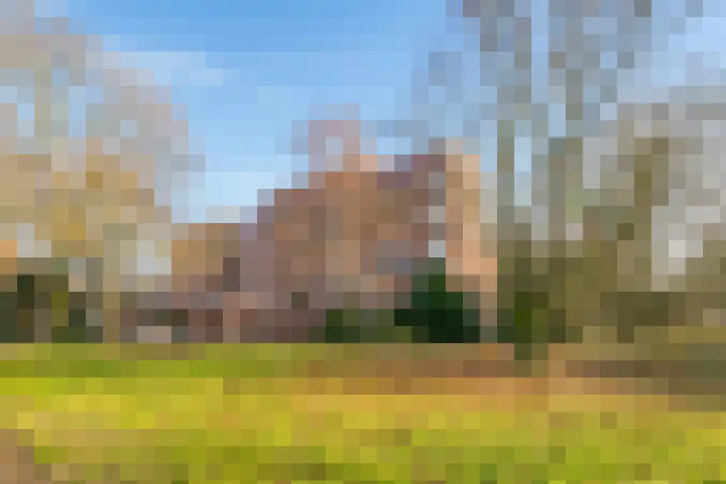 Leusdenhof 305 Amsterdam thumbnail 40