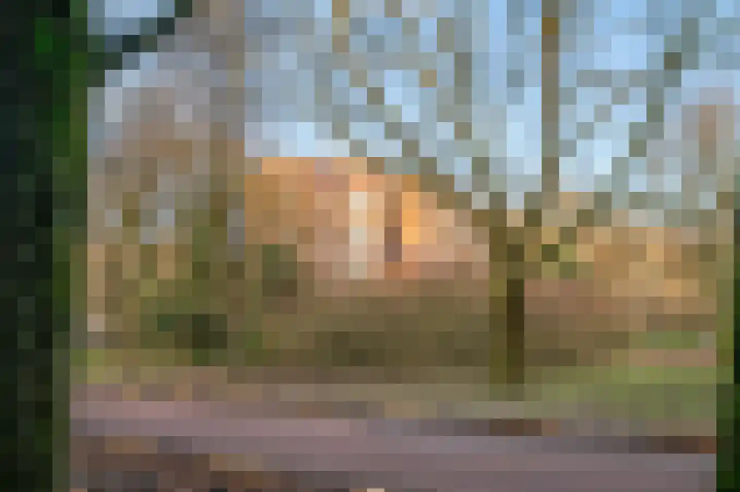 Leusdenhof 305 Amsterdam thumbnail 42