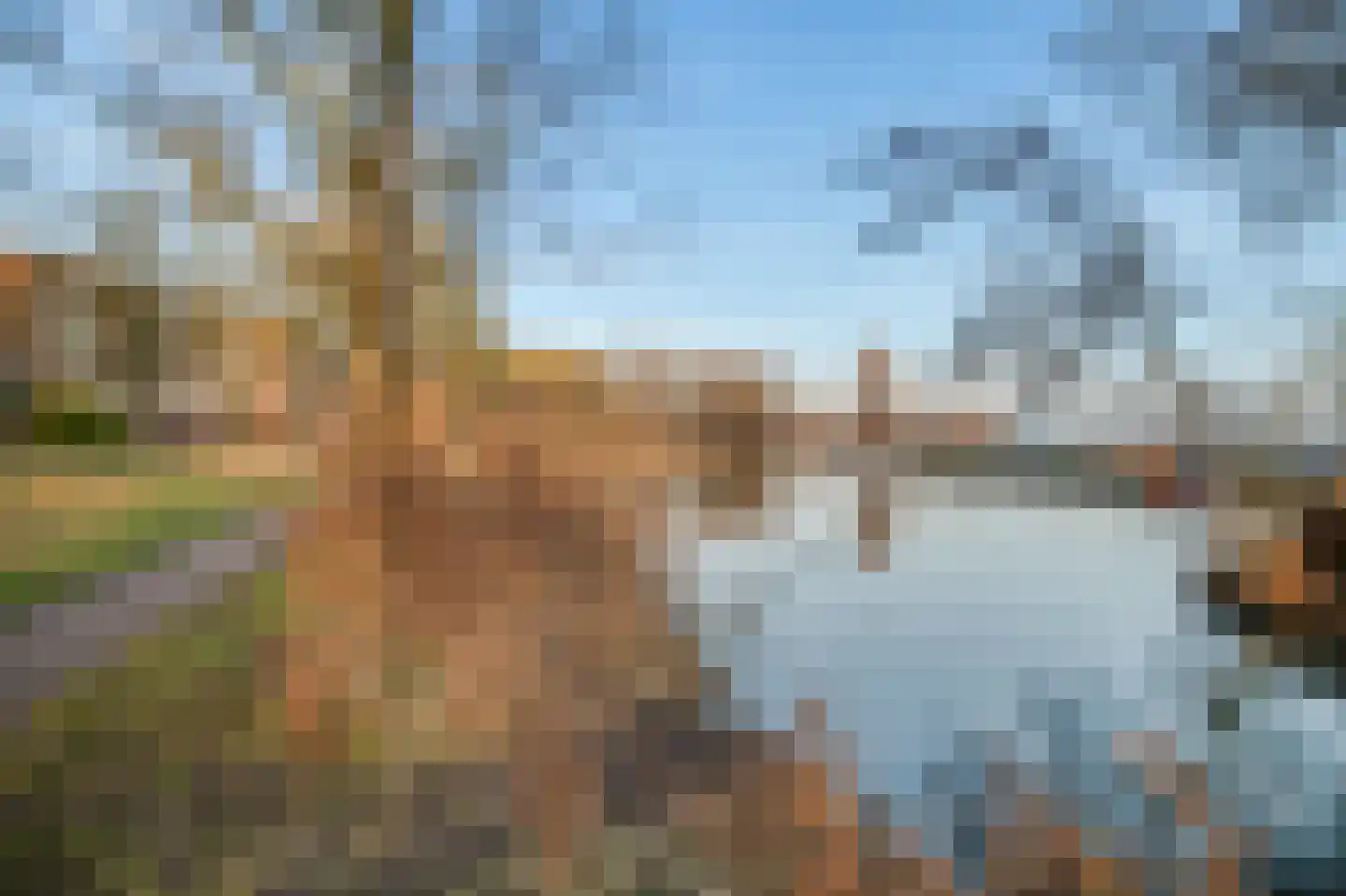 Leusdenhof 305 Amsterdam thumbnail 44