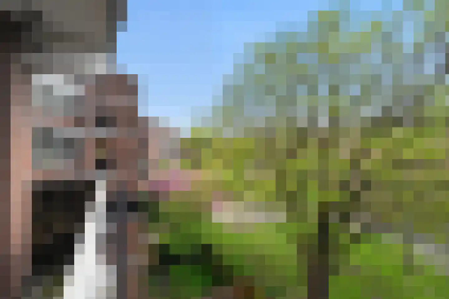 Leusdenhof 307 Amsterdam thumbnail 25